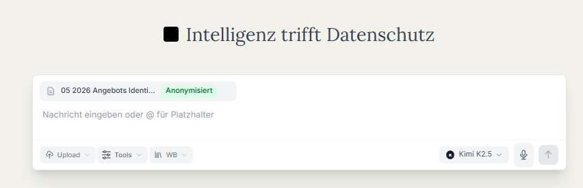 05 2026 anymize Chat Dokument anonymisiert